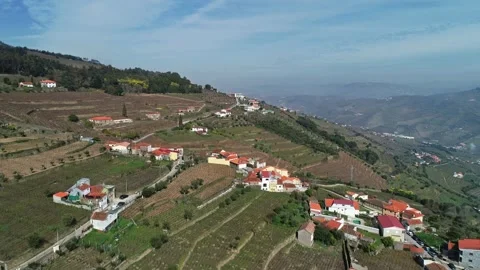 Aerial view of Douro River valley vineyards in Portugal. Stock Footage 345053847
