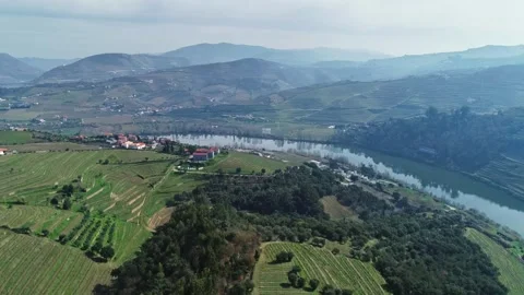 Aerial view of Douro River valley vineyards in Portugal. Stock Footage 345054008