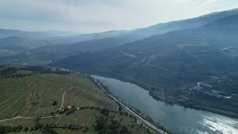 Aerial view of Douro River valley terraced vineyards, Portugal. Stock Footage 345054315