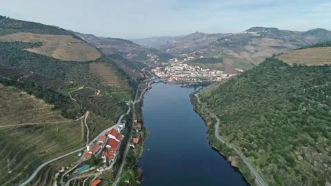 Aerial view of Douro River valley vineyards, Portugal. Stock Footage 345054391