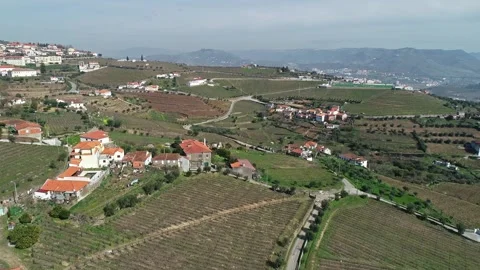 Aerial view of Douro River valley vineyards, Portugal. Stock Footage 345078057