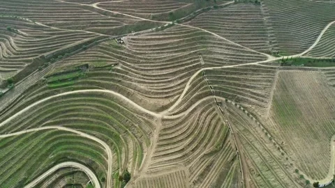 Aerial view of Douro River valley vineyards, Portugal. Stock Footage 345078086