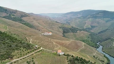 Aerial view of Douro River valley vineyards in Portugal. Stock Footage 345078280