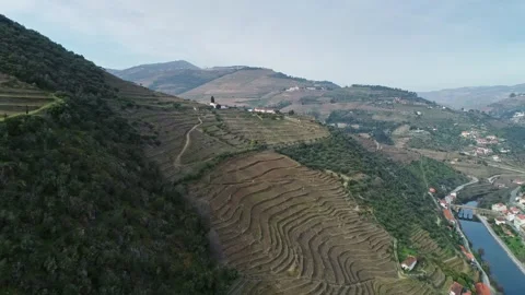 Aerial view of Douro River valley vineyards, Portugal. Stock Footage 345078417