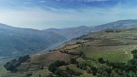 Aerial view of Douro River valley terraced vineyards, Portugal. Stock Footage 345078431