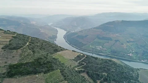Aerial view of Douro River valley vineyards, Portugal. Stock Footage 345078496