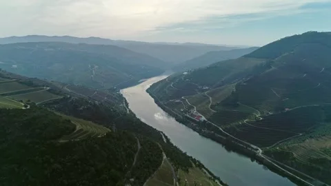 Aerial view of Douro River valley vineyards, Portugal. Stock Footage 345078585