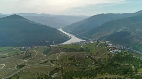 Aerial view of Douro River valley in Portugal. Stock Footage 345078613