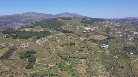 Aerial view of the Douro valley Stock Footage 137953908