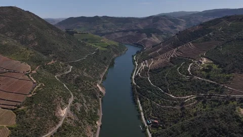 Aerial view of Douro valley with river and mountains, Portugal. Stock Footage 332737729