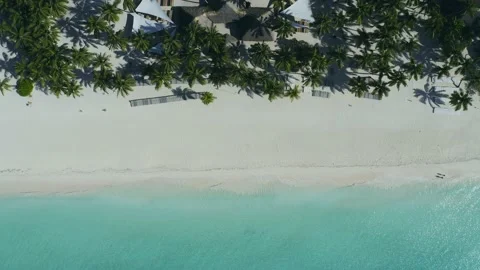 Aerial view down to beach and sea. two people walking along the shore Stock Footage 145163104