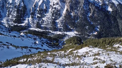 Aerial view down hill to the mountains valley covered with snow and tiny fir tre 動画素材 263902565
