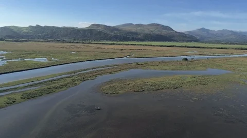 Aerial view, down move. Drone panorama over Glaslyn reserve wetlands, water a Stock Footage 94247634