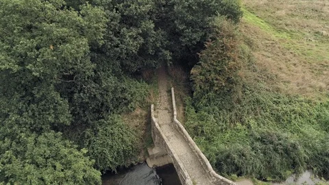 Aerial view, down move. Old small stone roman bridge and grass, overgrown wat 動画素材 95542668