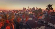 Aerial View Downtown Los Angeles Skyline Revealing Through Row Palm Trees 4K Uhd Stock Footage