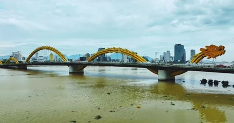 Aerial view of Dragon Bridge Stock Footage 342397820