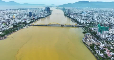 Aerial view of Dragon Bridge Stock Footage 342397886