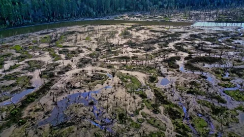 Aerial view of a drained reservoir with dead trees and muddy water reflections Stock Footage 302015368