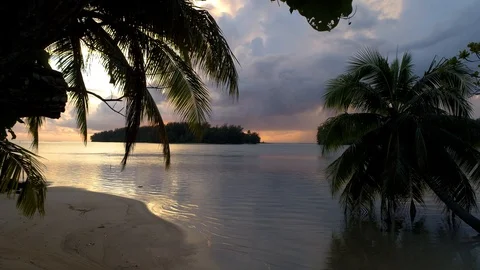 Aerial view dramatic colors sky during sunset with palm tree shadow Stock Footage 92066470