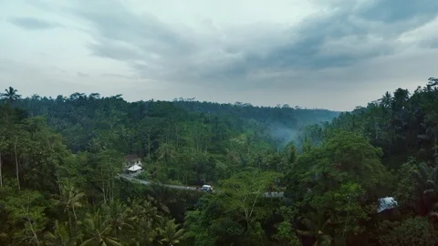 Aerial view of dramatic jungle Bali Indonesia 7 Stock Footage 121358921