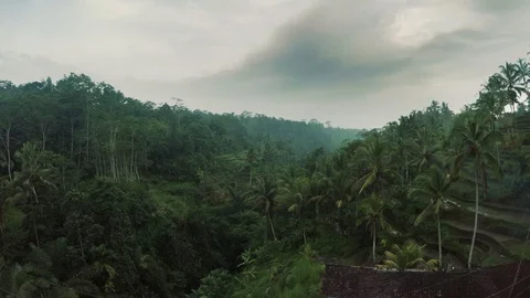 Aerial view of dramatic jungle Bali Indonesia 5 Stock Footage 121359210