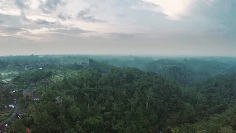 Aerial view of dramatic jungle Bali Indonesia 4 Stock Footage 121359372