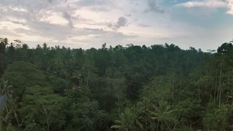 Aerial view of dramatic jungle Bali Indonesia 2 Stock Footage 121359616