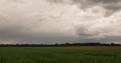Aerial View of Dramatic Sky Over Plains in Croatia Stock Footage 309520777