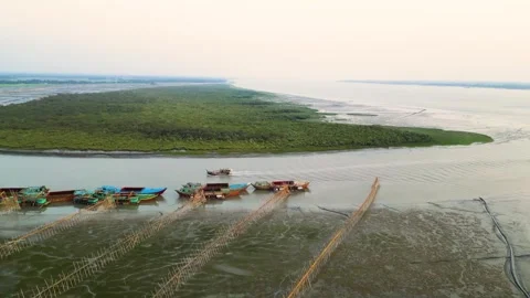 Aerial view of drazer machine and troller boat in the river with seaside mangrov Video stock 273629817