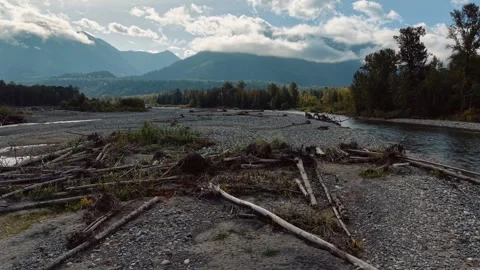 Aerial View of a Driftwood Logjam on a Fraser Valley River Gravel Bar Stock-Footage 345845792