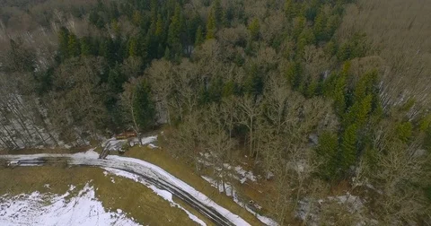 Aerial view from drone, above pine forest Stock Footage 72701049