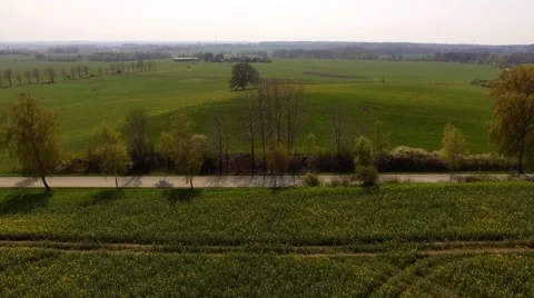 Aerial view drone aerial flight over a country road with trees - bird view Stock Footage 62936378