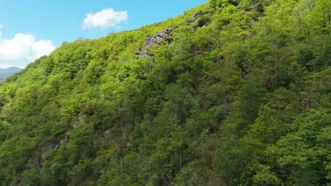 Aerial view from a drone approaching a hill covered with green trees Stockbeeldmateriaal 335236703