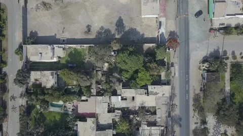 Aerial view of drone approaching a tree Stock Footage 141946477