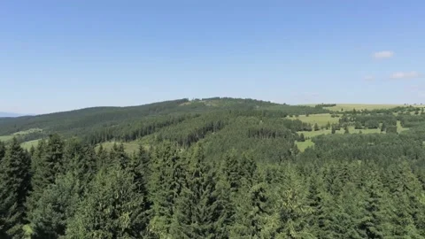 Aerial view, drone camera moving forward over pine forest Stock Footage 138756801