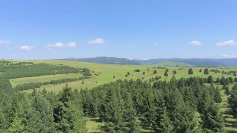 Aerial view, drone camera rotating over pine forest Stock Footage 138756871