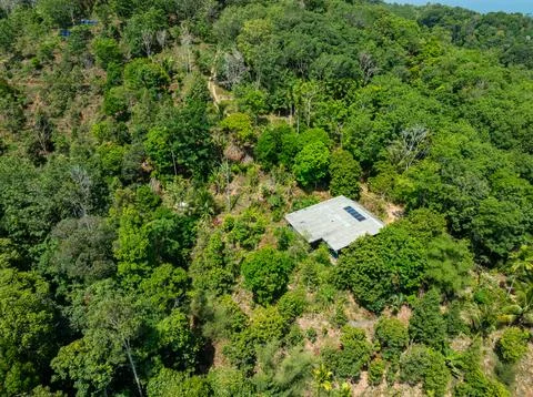 Aerial view Drone camera top view rainforest trees ecology with house in th.. Стоковые фото