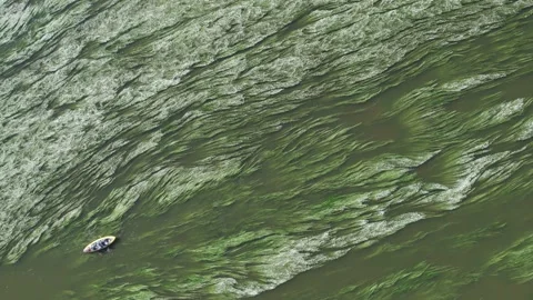 Aerial view by drone of canoe on the flower garden Stockbeeldmateriaal 166310766