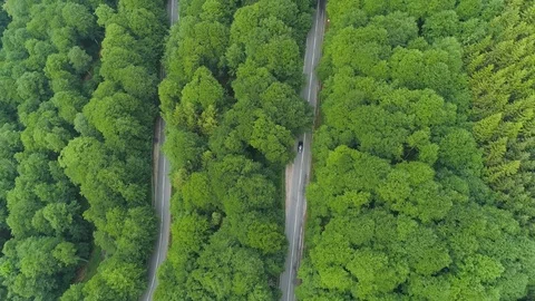 Aerial view from drone of car going through a curve road on the mountain forest Stock Footage 110278189