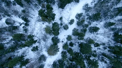 Aerial view drone descends down over winter snowy forest Stock Footage 122687829
