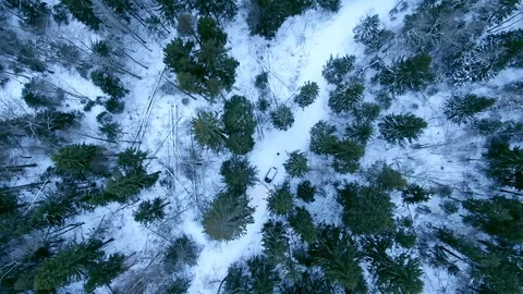 Aerial view drone descends down over winter snowy forest. Video stock 122687834