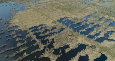 Aerial view of drone descends lower and lower to trees Stock Footage 105216775