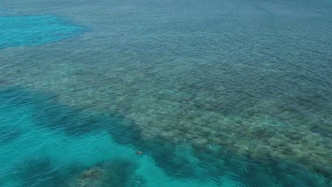 Aerial: view of a drone discovering a turtle in turquoise waters near an island  Stock Footage 116756227