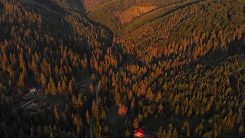 Aerial view drone flight above forest in mountains on sunset Video stock 108861483