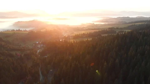 Aerial view drone flight above forest in mountains on sunset Video stock 108861905