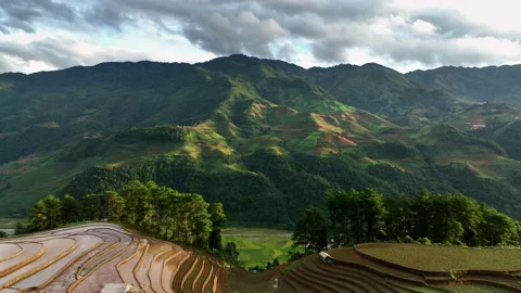 Aerial view drone flight backward, Long Coc tea hill, Vietnam Stock Footage 201617169