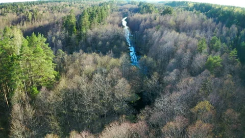 Aerial view, drone flight forward movement. Forest landscape with natural river. Stock Footage 304790272