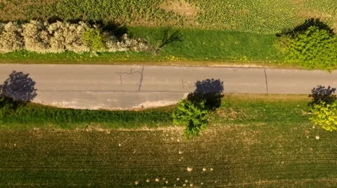 Aerial view Drone flight over a country road with trees - bird view Stock Footage 62934892