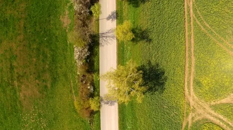 Aerial view Drone flight over a country road with trees - bird view Stock Footage 62937841