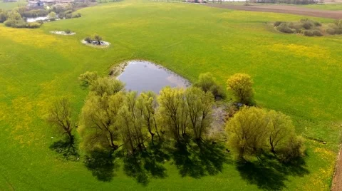 Aerial view Drone flight over green meadow with trees and a small lake Stock Footage 62938935